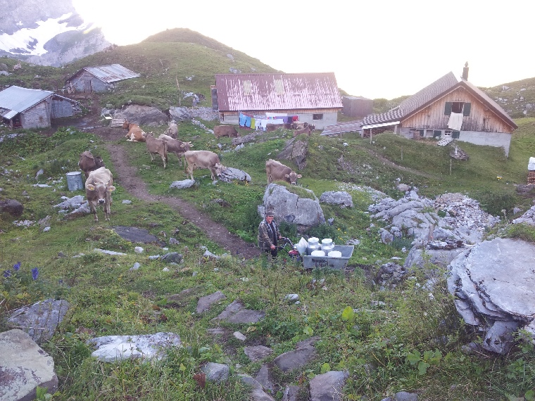 oberlammerbach003