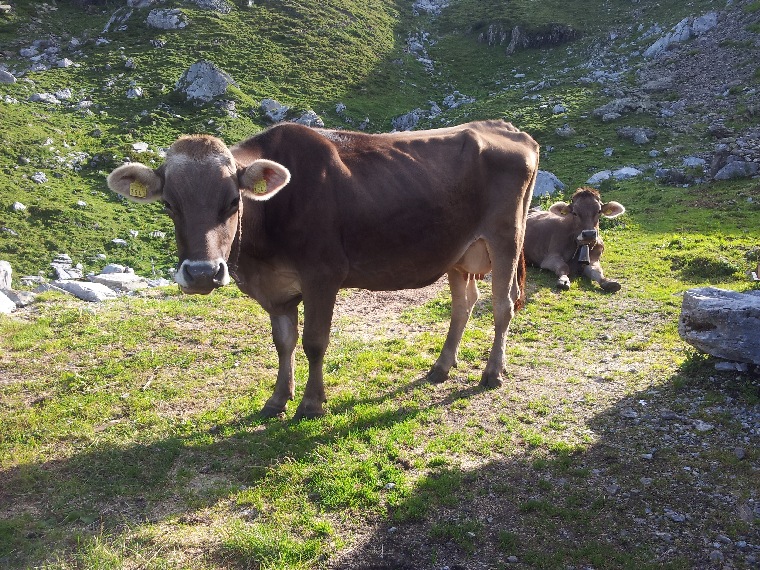 oberlammerbach004