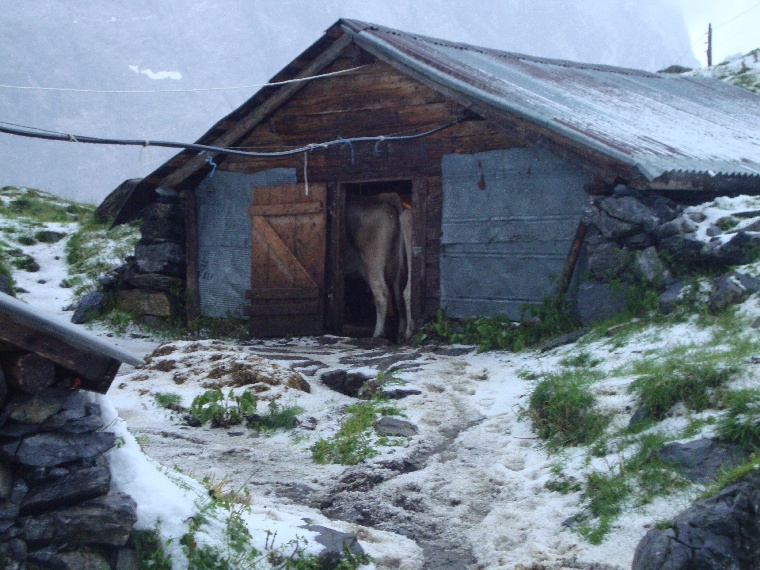 oberlammerbach022