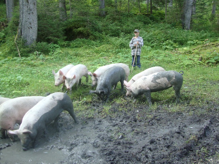 oberlammerbach031
